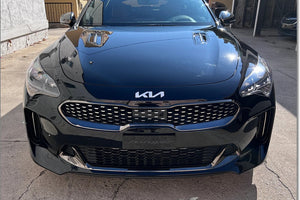 New Kia Stinger emblem