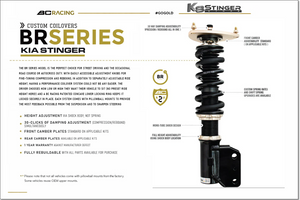 BC Racing BR SERIES Stinger