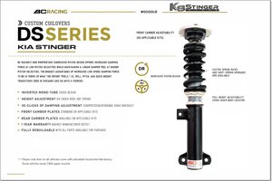 BC Racing DS SERIES Stinger