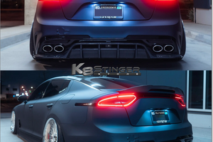 Stinger Carbon Fiber Diffuser