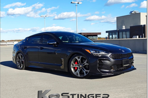 Kia Stinger Eibach Kit