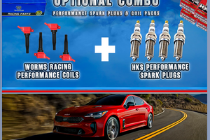 Worms + Spark Plugs Stinger