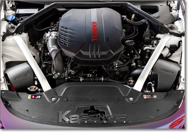 Stinger dual covered intakes