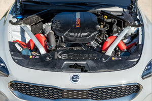 Stinger injen dual 3.3T intakes