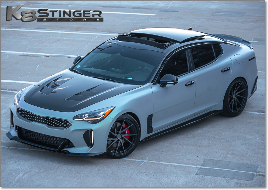 Kia Stinger Force Series M&S Center Wing