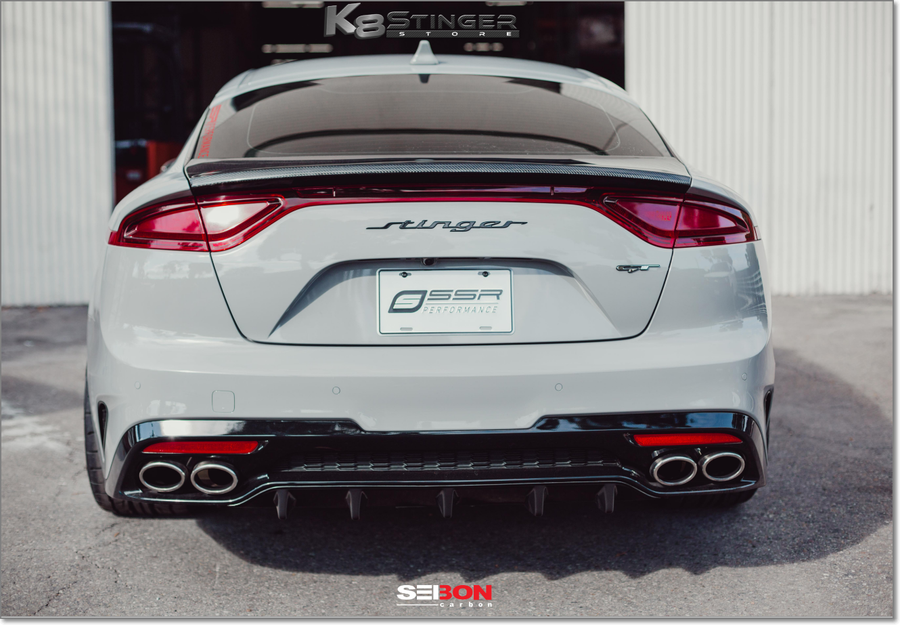 Seibon carbon fiber trunk stinger