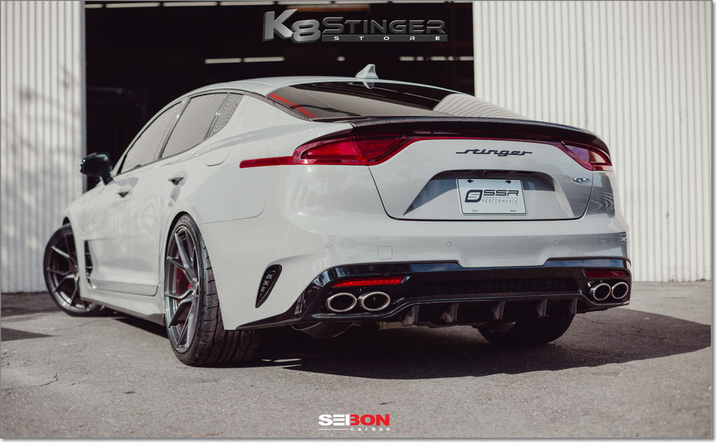 Stinger carbon fiber trunk