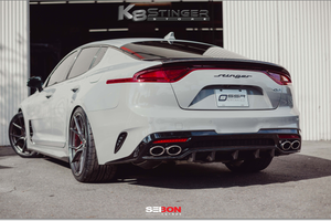 Stinger carbon fiber trunk