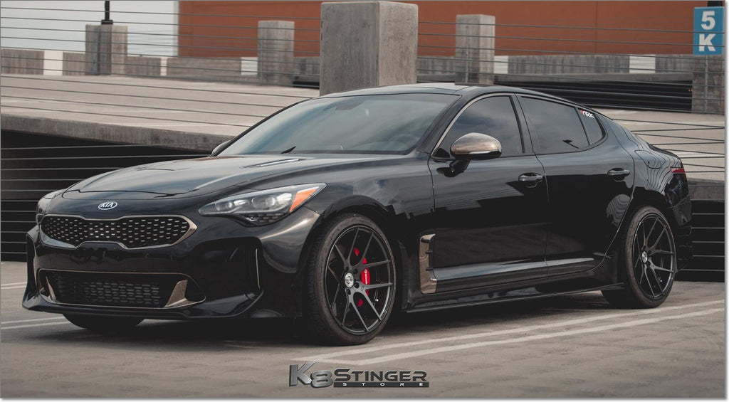 Carbon Fiber side skirts