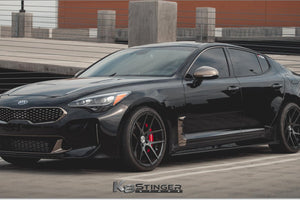 Carbon Fiber side skirts