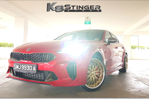 Stinger Brakes
