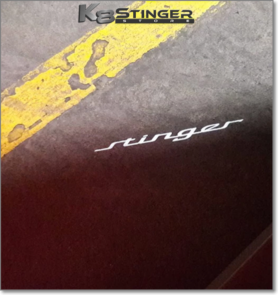 Stinger Projector light 