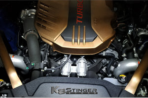 dual hks bov stinger