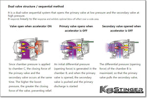 HKS Sequential BOV Kit Kia