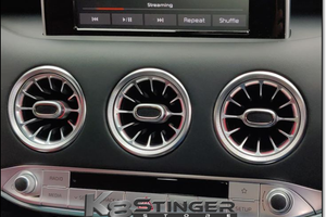 Vent light LEDs stinger