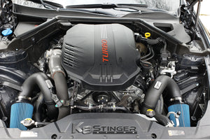 Stinger Black Injen Intake