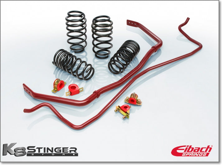 Eibach stinger pro plus kit