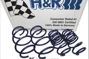 Stinger H&R Springs