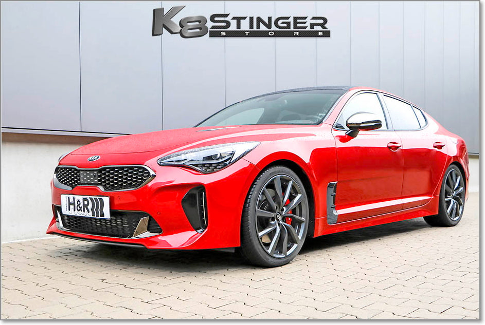 Stinger H&R Lowered Springs