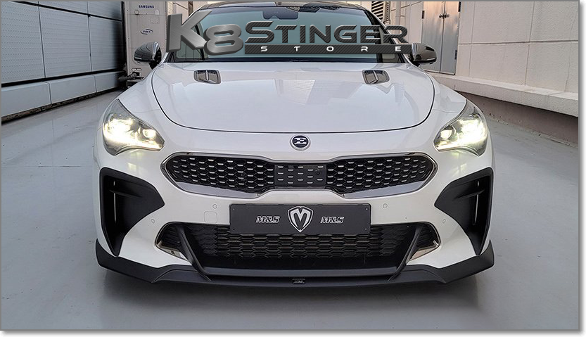 Kia Stinger Front Center Wing