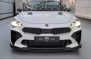 Kia Stinger Front Center Wing