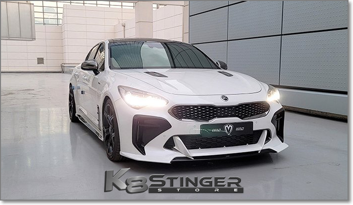 Kia Stinger M&S Front Vent Hole Cover