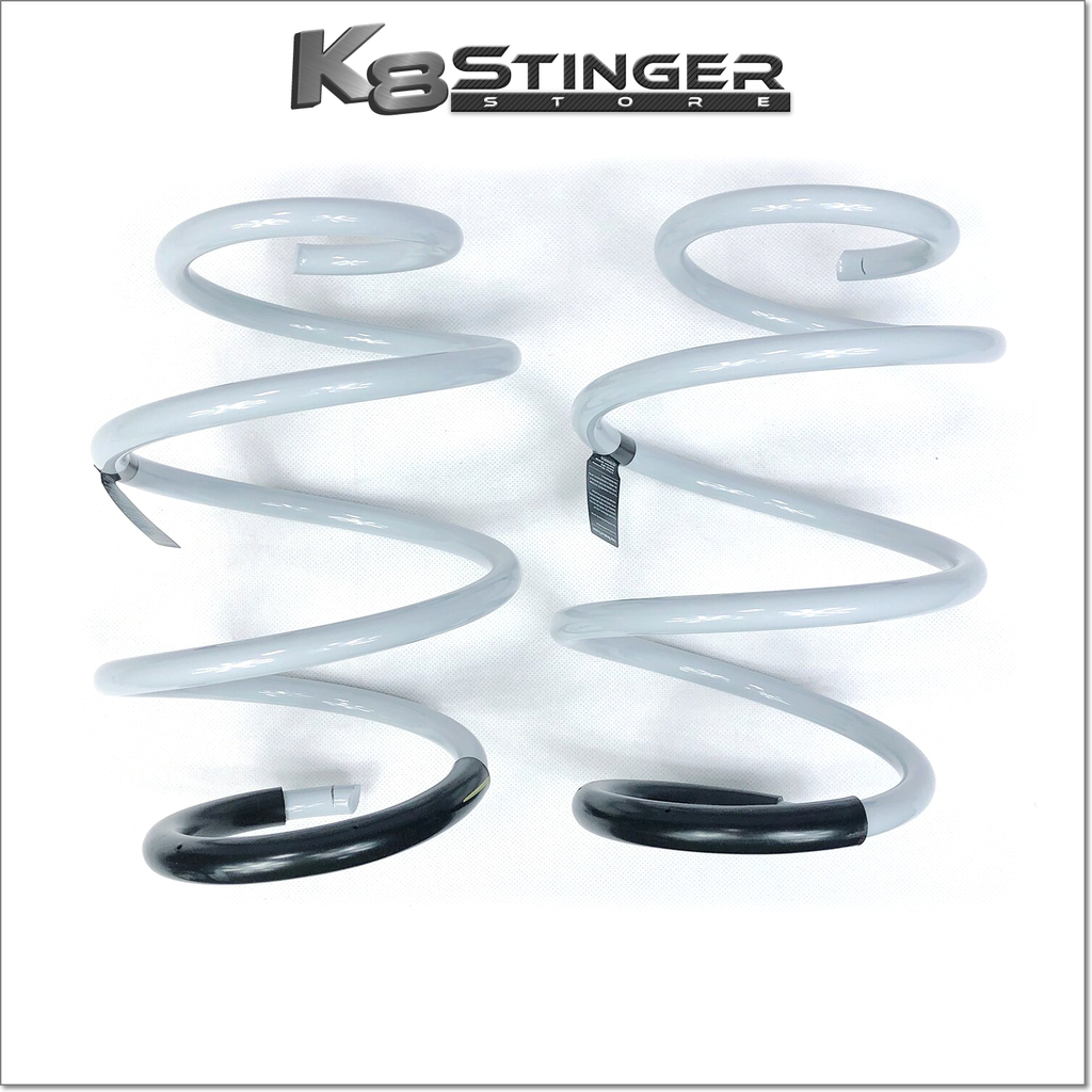 Kia Stinger Suspension M&S