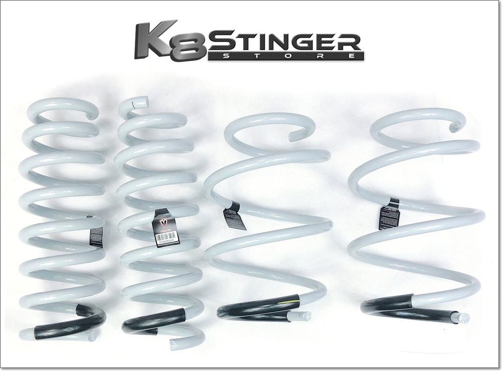 Stinger GT Springs