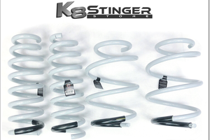 Stinger GT Springs