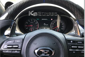 Stinger Paddle Shifter Replacement