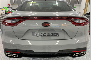 Stinger emblems