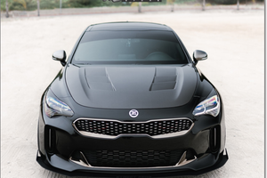 Kia Stinger TS carbon fiber