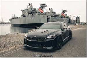 Stinger Carbon Fiber Hood
