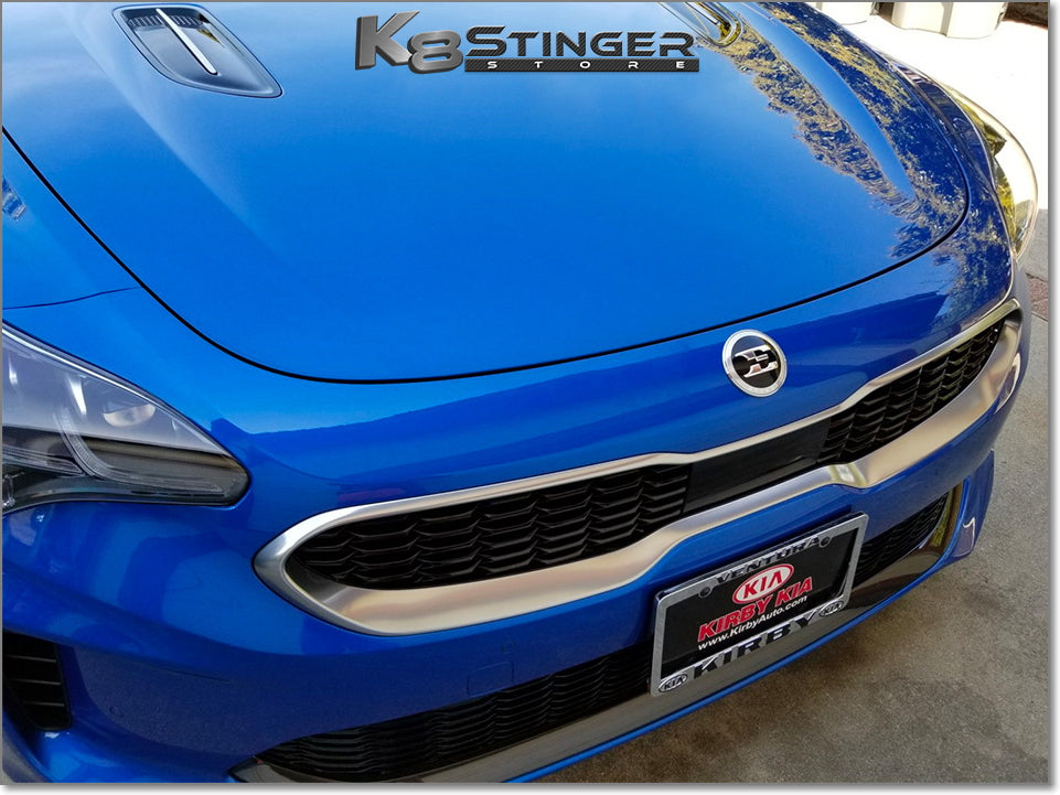 Stinger e logo blue