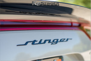 Stinger trunk black